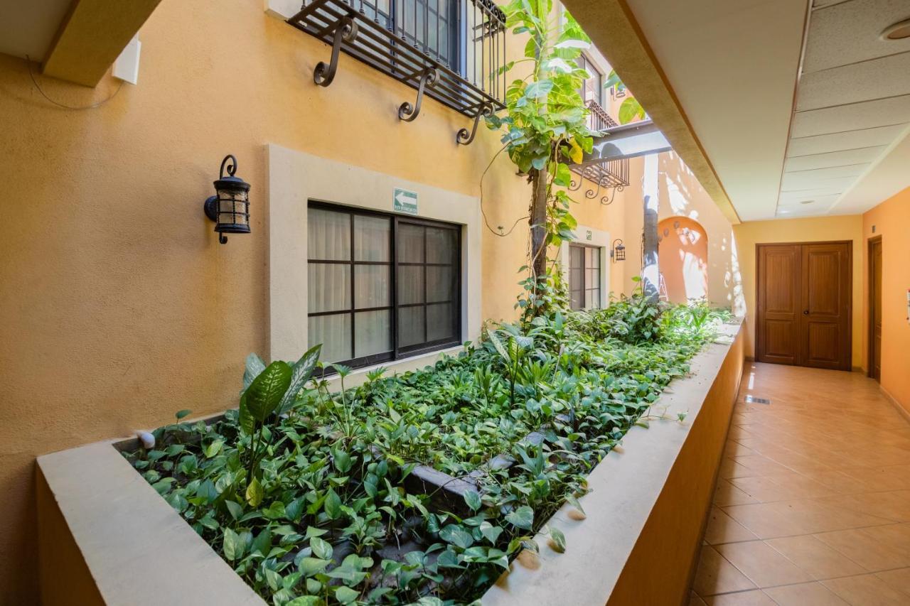 Hotel Colli San José del Cabo Dış mekan fotoğraf