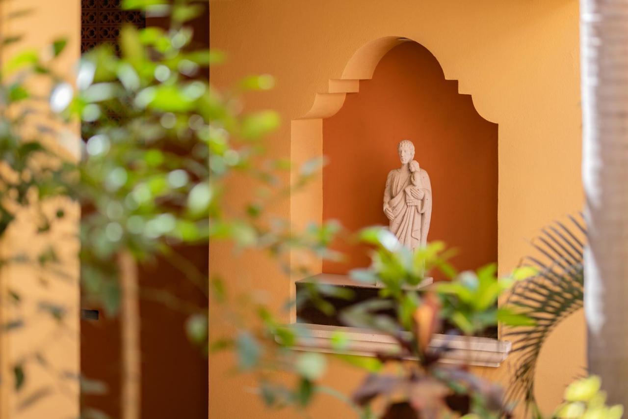 Hotel Colli San José del Cabo Dış mekan fotoğraf