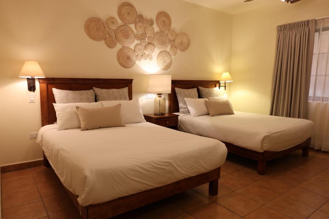 Hotel Colli San José del Cabo Dış mekan fotoğraf