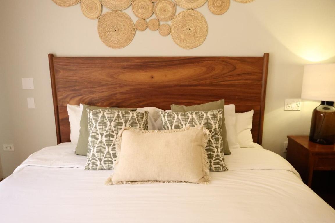 Hotel Colli San José del Cabo Dış mekan fotoğraf