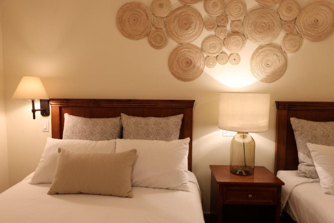 Hotel Colli San José del Cabo Dış mekan fotoğraf
