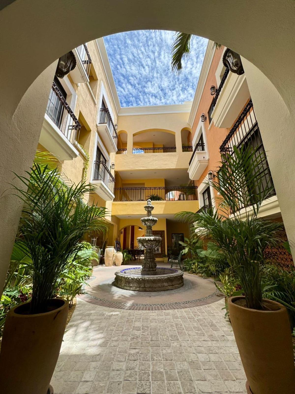 Hotel Colli San José del Cabo Dış mekan fotoğraf